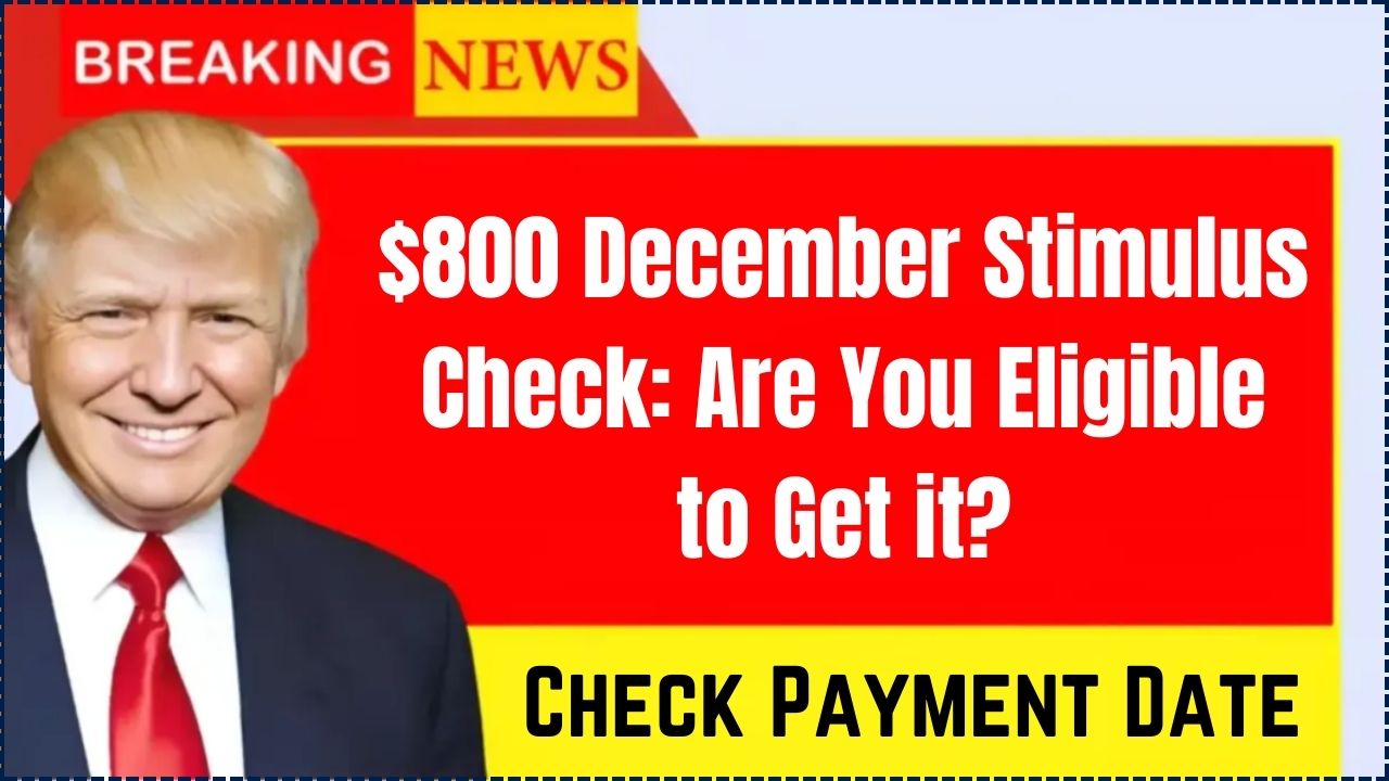 $800 December Stimulus Check: Are You Eligible? Payment Dates & Claim Guide