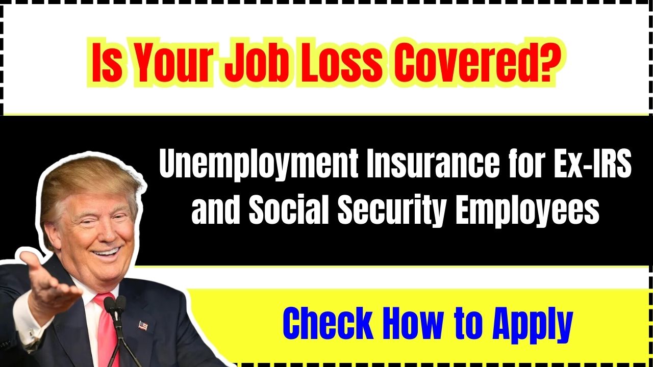 Is Your Job Loss Covered? Unemployment Insurance for Ex-IRS and Social Security Employees – Check How to Apply!